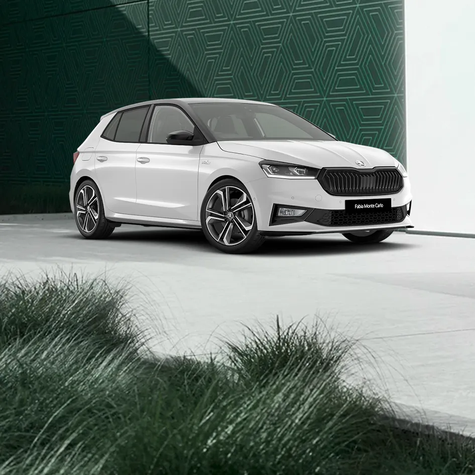 banner fabia monte carlo m